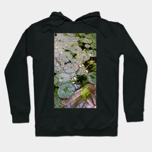 green leaves Hoodie